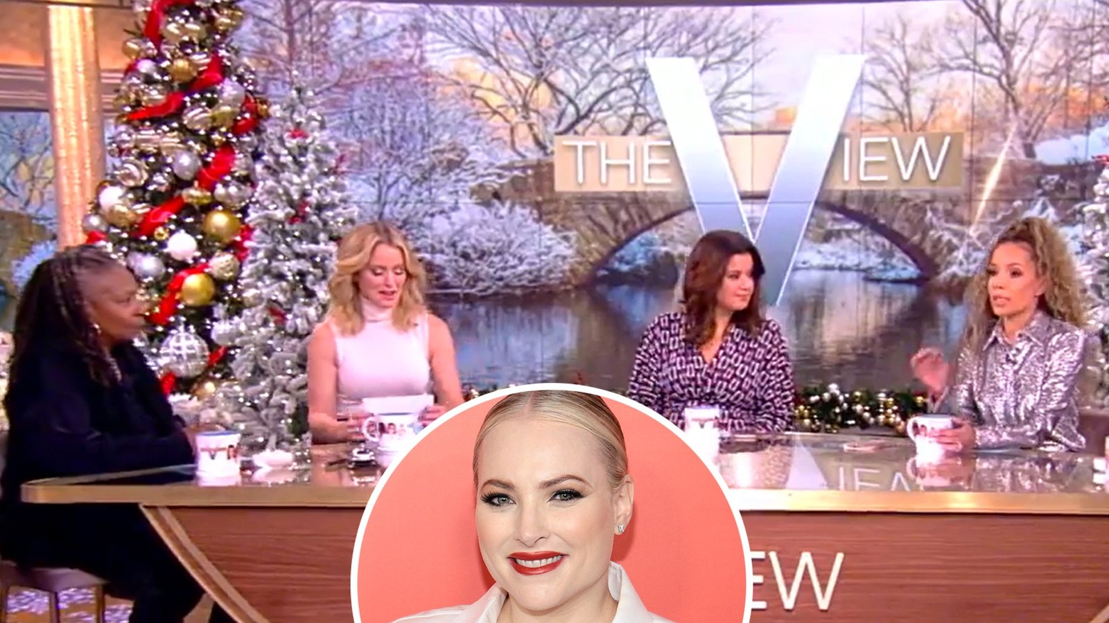 Meghan McCain Threatens Authorized Motion Towards View Hosts After ‘Defamatory And Slanderous’ Accusations