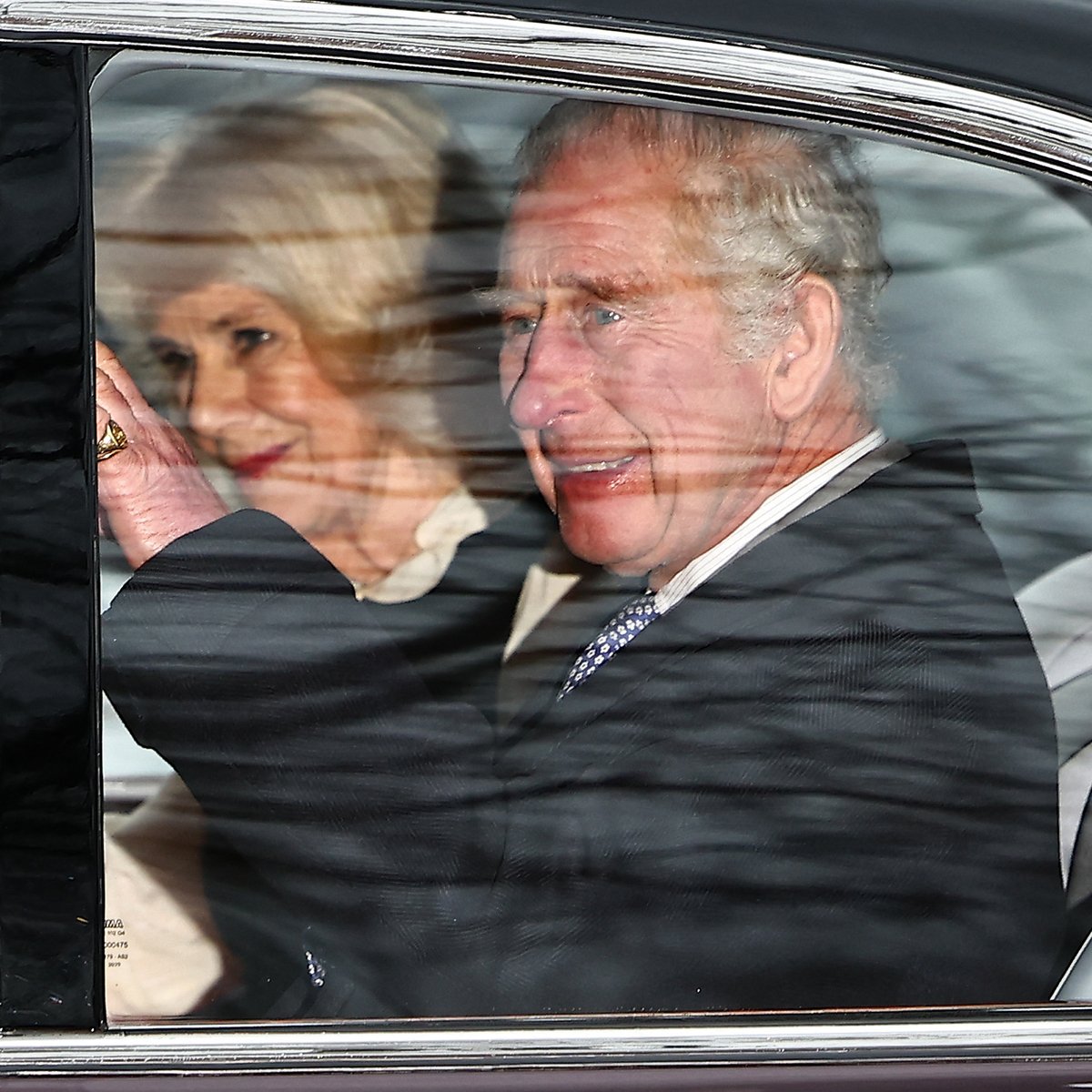 Queen Camilla Provides Replace on King Charles After His Most cancers Analysis